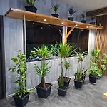 Vip - Pokoje,sniadanie,apartament Kinowy, Masaz