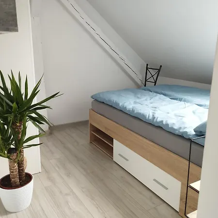 Bed and breakfast Vip *