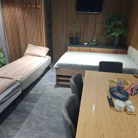 Vip - Pokoje,śniadanie,apartament Kinowy, Masaż 3* Gniezno