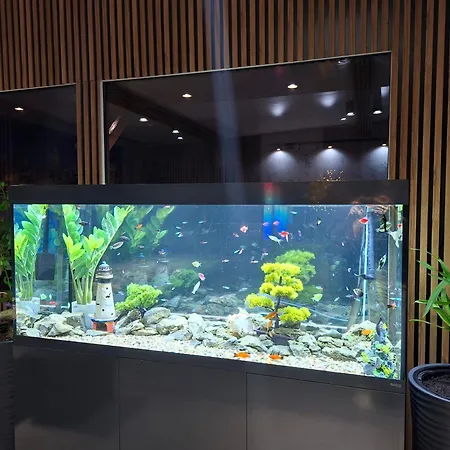 Vip - Pokoje,sniadanie,apartament Kinowy, Masaz Bed & Breakfast Gniezno