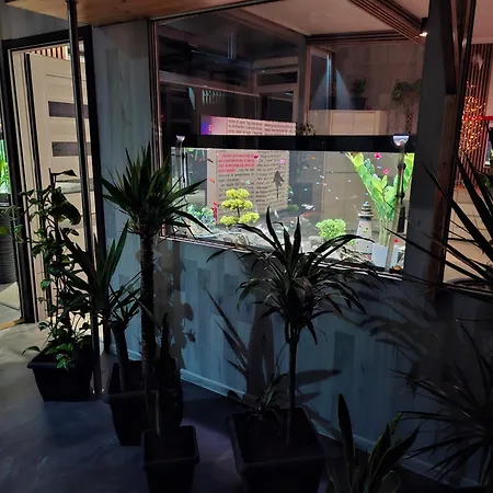 Bed & Breakfast Vip - Pokoje,sniadanie,apartament Kinowy, Masaz Gniezno