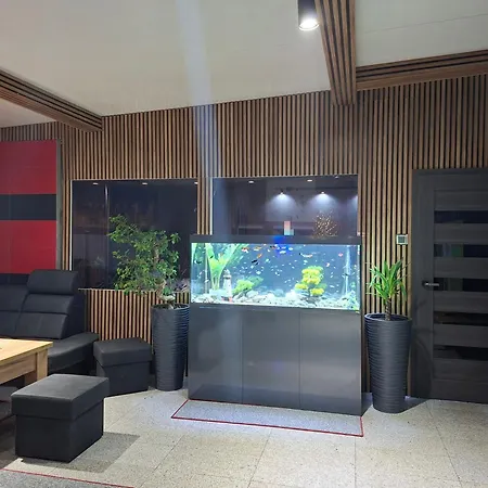 Panzió Vip - Pokoje,sniadanie,apartament Kinowy, Masaz 4*