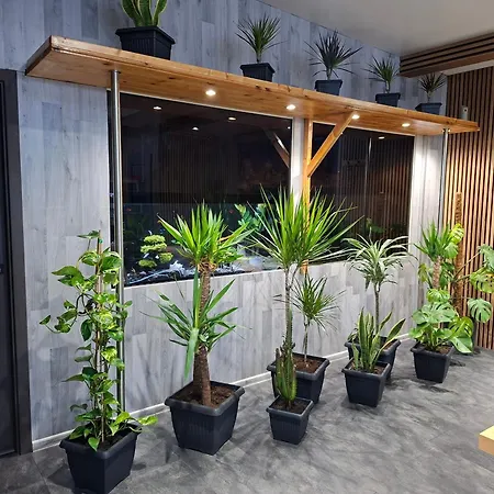 Vip - Pokoje,sniadanie,apartament Kinowy, Masaz