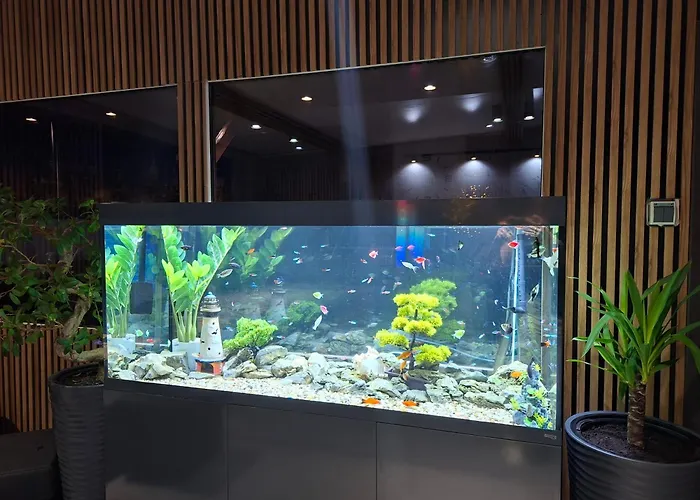 Vip - Pokoje,sniadanie,apartament Kinowy, Masaz Bed & Breakfast Gniezno