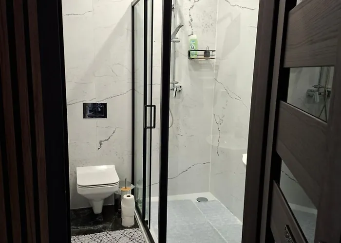 Vip - Pokoje,sniadanie,apartament Kinowy, Masaz 3*